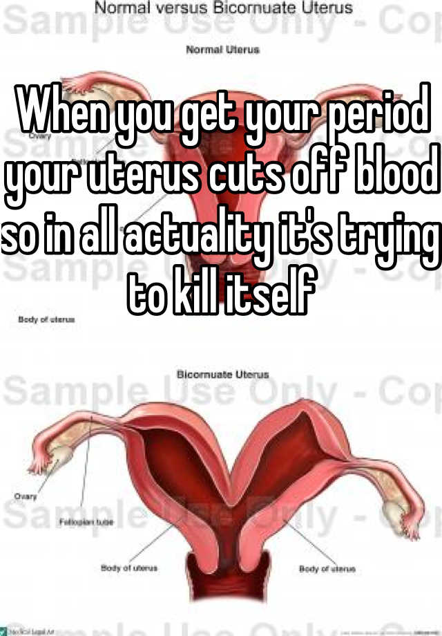 when-you-get-your-period-your-uterus-cuts-off-blood-so-in-all-actuality