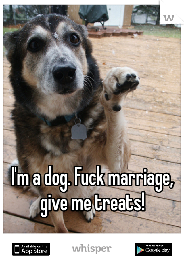 I'm a dog. Fuck marriage, give me treats!