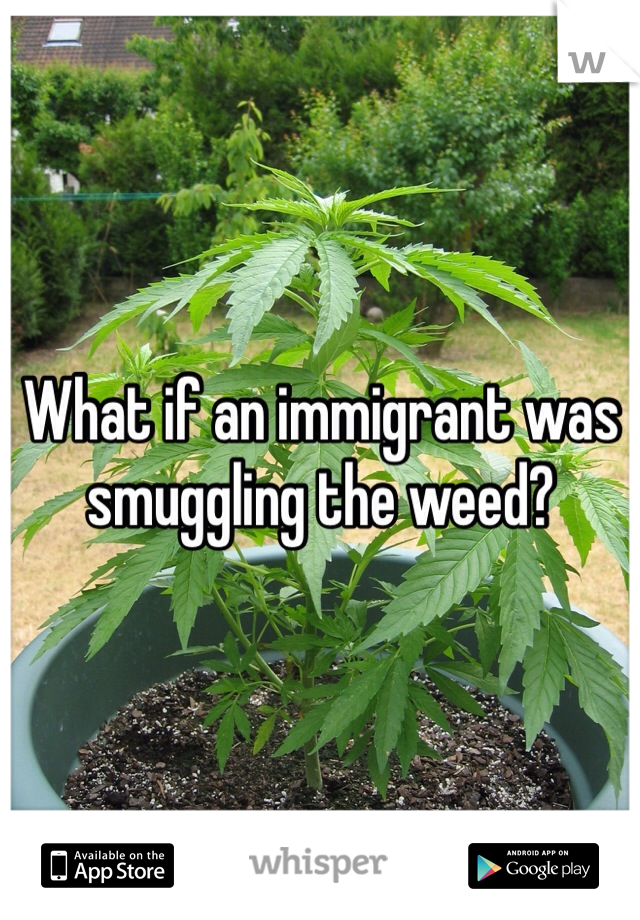 What if an immigrant was smuggling the weed? 