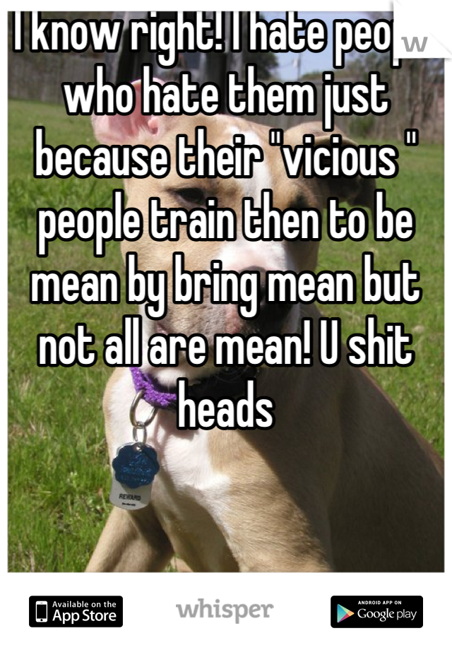 I know right! I hate people who hate them just because their "vicious " people train then to be mean by bring mean but not all are mean! U shit heads