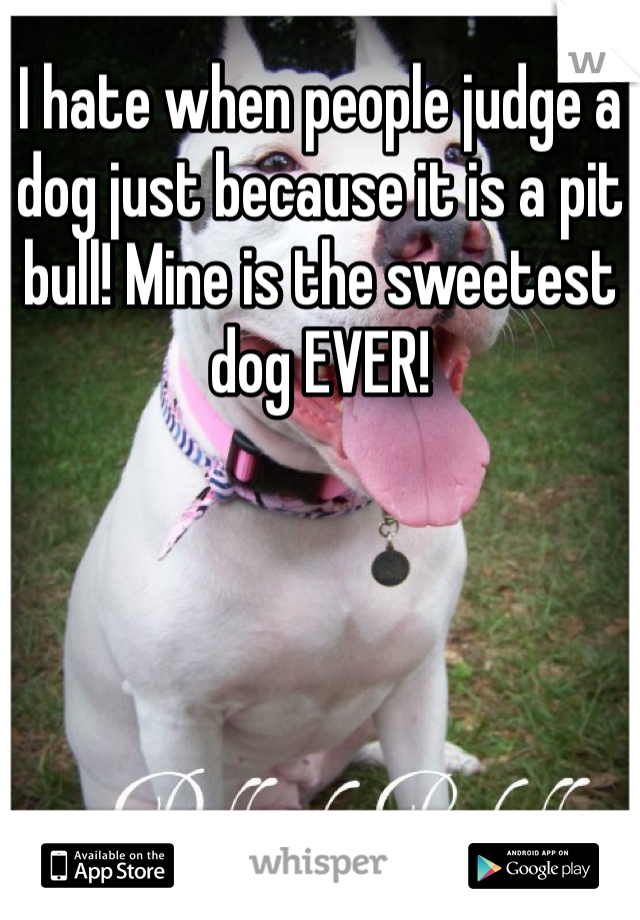 I hate when people judge a dog just because it is a pit bull! Mine is the sweetest dog EVER! 