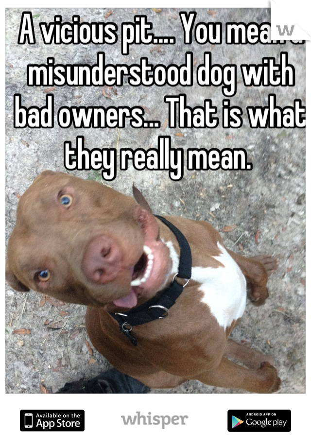 A vicious pit.... You mean a misunderstood dog with bad owners... That is what they really mean. 