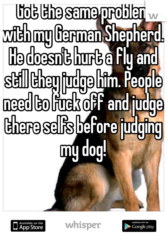 Got the same problem with my German Shepherd. He doesn't hurt a fly and still they judge him. People need to fuck off and judge there selfs before judging my dog!