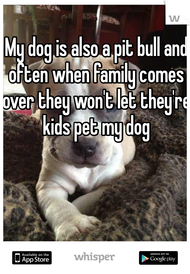 My dog is also a pit bull and often when family comes over they won't let they're kids pet my dog