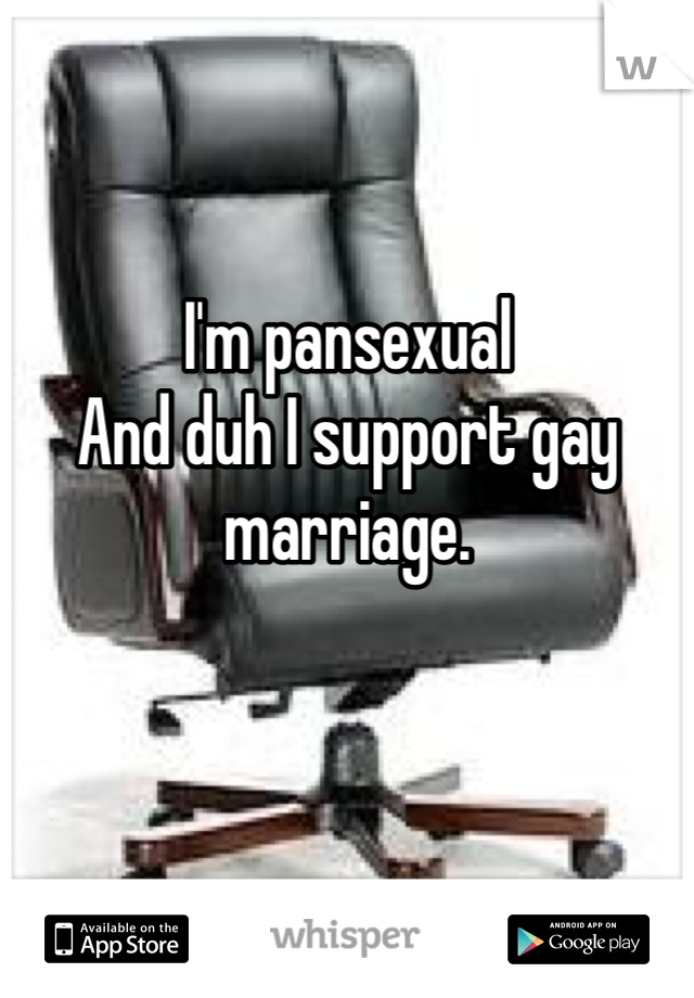 I'm pansexual 
And duh I support gay marriage. 