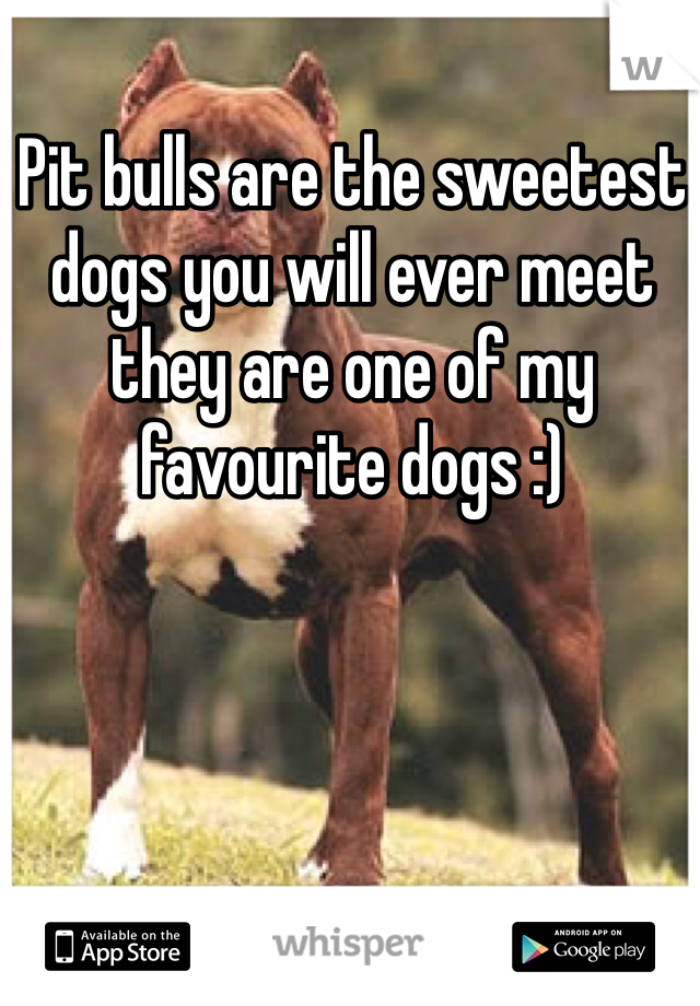 Pit bulls are the sweetest dogs you will ever meet they are one of my favourite dogs :)