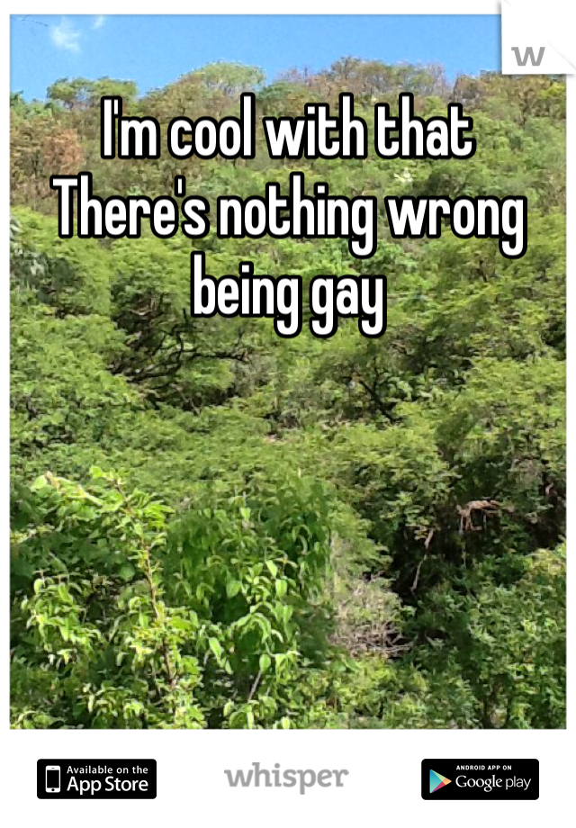 I'm cool with that 
There's nothing wrong being gay 