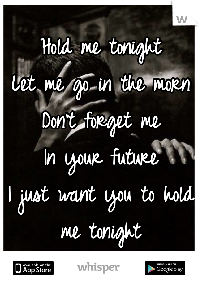 Hold me tonight
Let me go in the morn
Don't forget me 
In your future 
I just want you to hold me tonight 