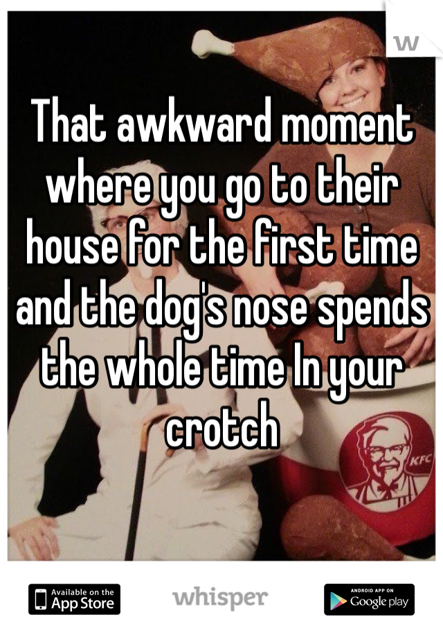 That awkward moment where you go to their house for the first time and the dog's nose spends the whole time In your crotch