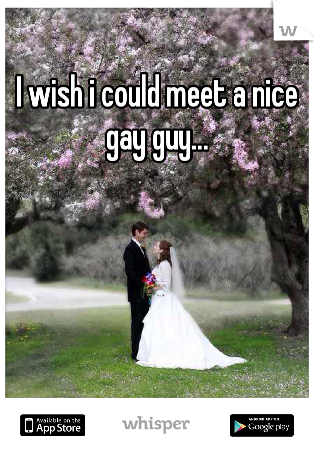 I wish i could meet a nice gay guy...
