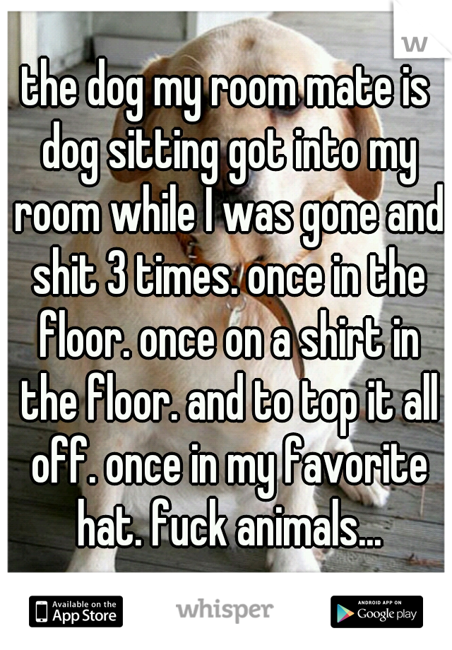 the dog my room mate is dog sitting got into my room while I was gone and shit 3 times. once in the floor. once on a shirt in the floor. and to top it all off. once in my favorite hat. fuck animals...