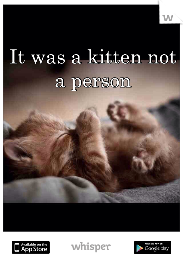 It was a kitten not a person