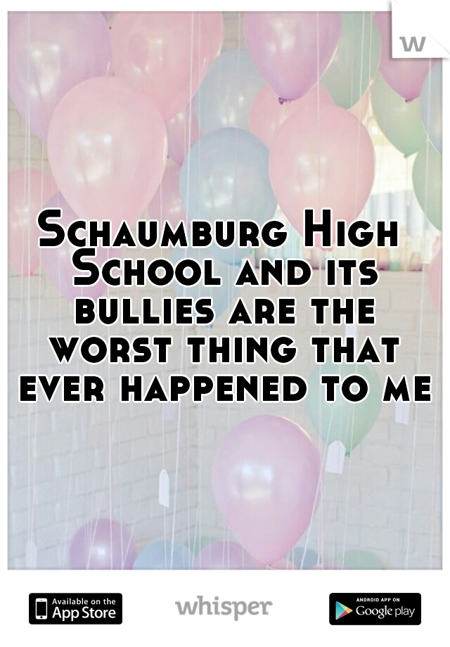 Schaumburg High School and its bullies are the worst thing that ever happened to me