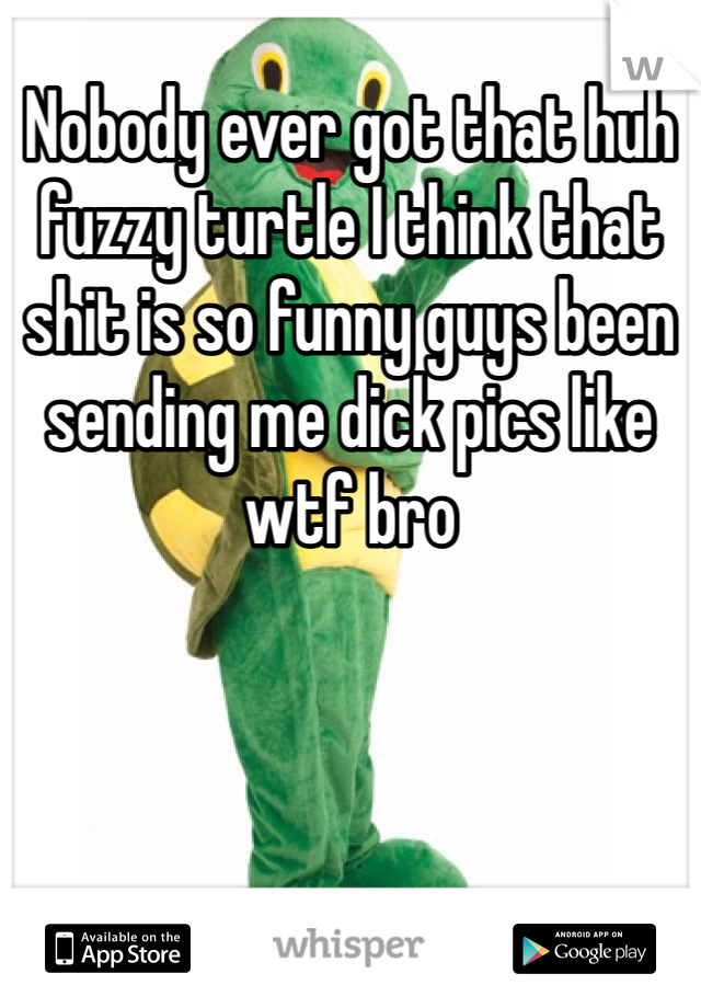 Nobody ever got that huh fuzzy turtle I think that shit is so funny guys been sending me dick pics like wtf bro 