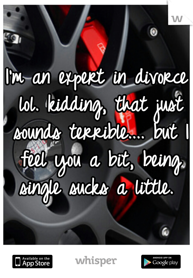 I'm an expert in divorce lol. kidding, that just sounds terrible.... but I feel you a bit, being single sucks a little. 