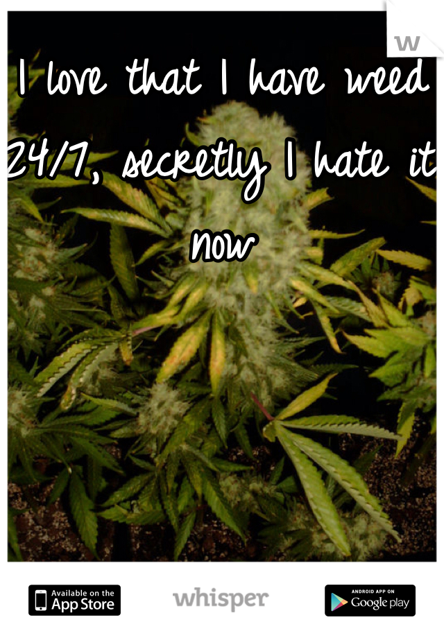 I love that I have weed 24/7, secretly I hate it now
