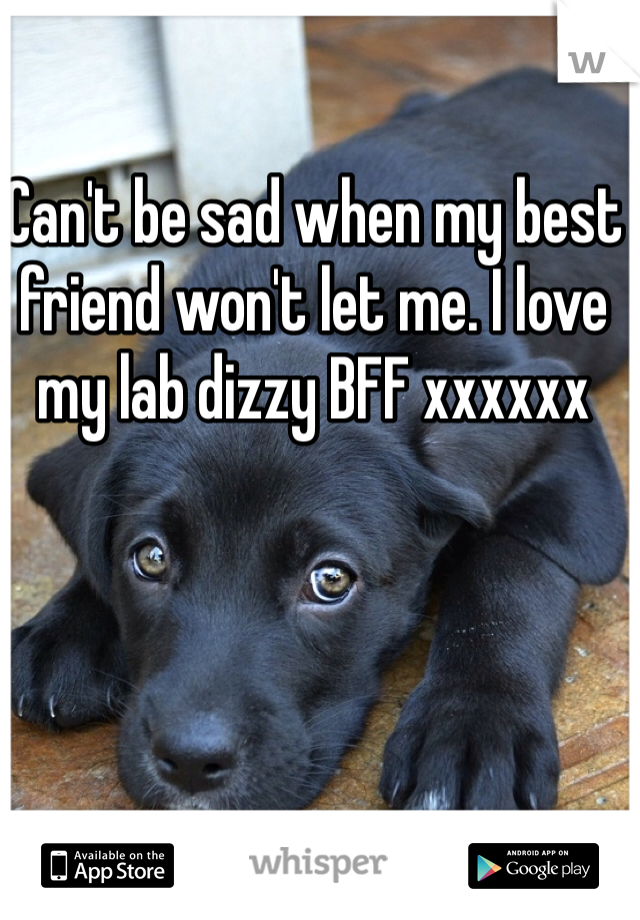 Can't be sad when my best friend won't let me. I love my lab dizzy BFF xxxxxx 