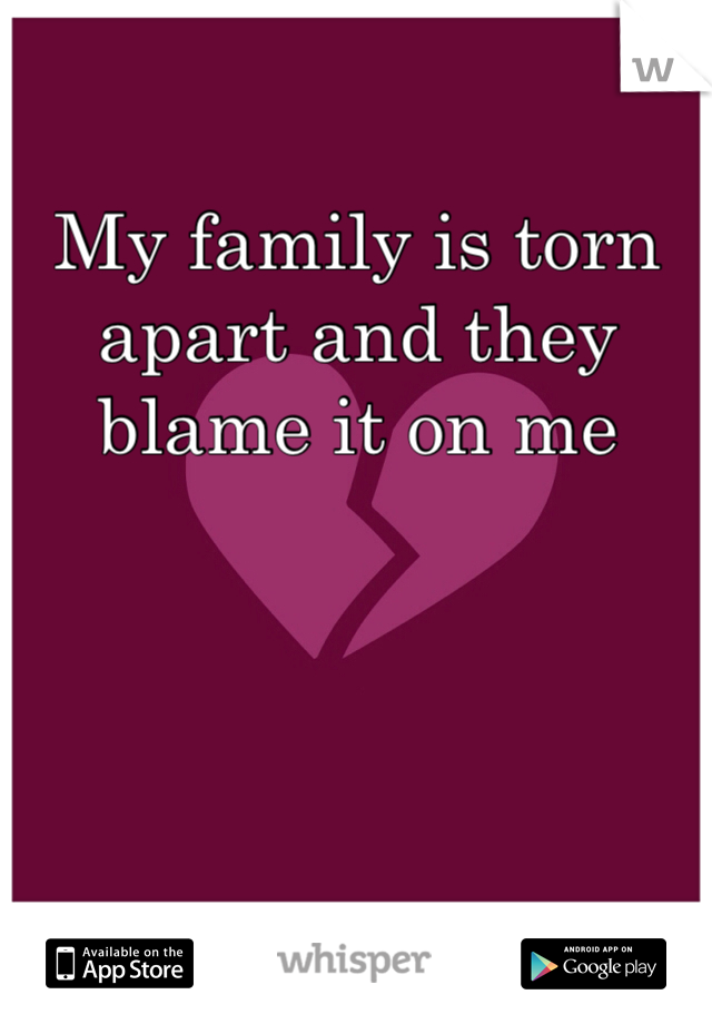 My family is torn apart and they blame it on me
