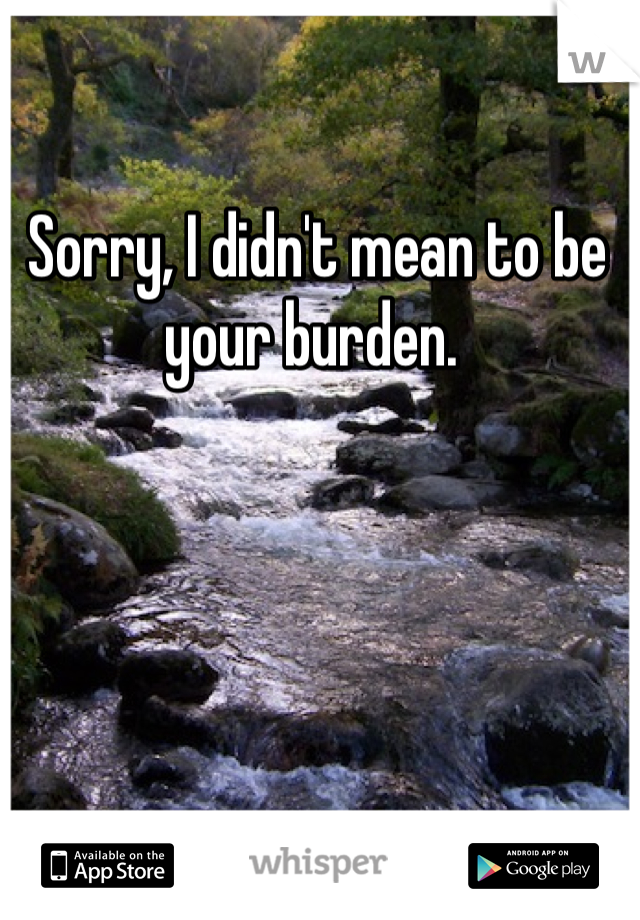 Sorry, I didn't mean to be your burden. 
