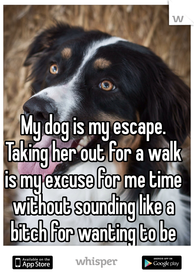 My dog is my escape. Taking her out for a walk is my excuse for me time without sounding like a bitch for wanting to be alone. 