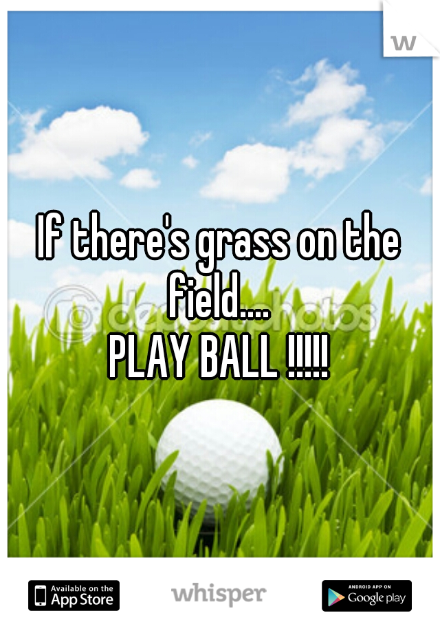 If there's grass on the field.... 

PLAY BALL !!!!!