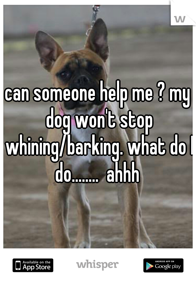 can someone help me ? my dog won't stop whining/barking. what do I do........  ahhh 