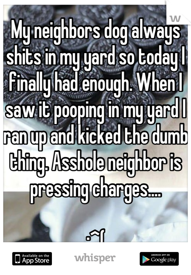 My neighbors dog always shits in my yard so today I finally had enough. When I saw it pooping in my yard I ran up and kicked the dumb thing. Asshole neighbor is pressing charges....

:^(