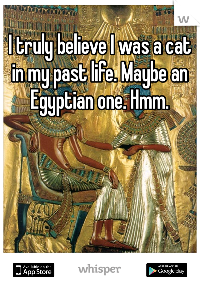 I truly believe I was a cat in my past life. Maybe an Egyptian one. Hmm. 