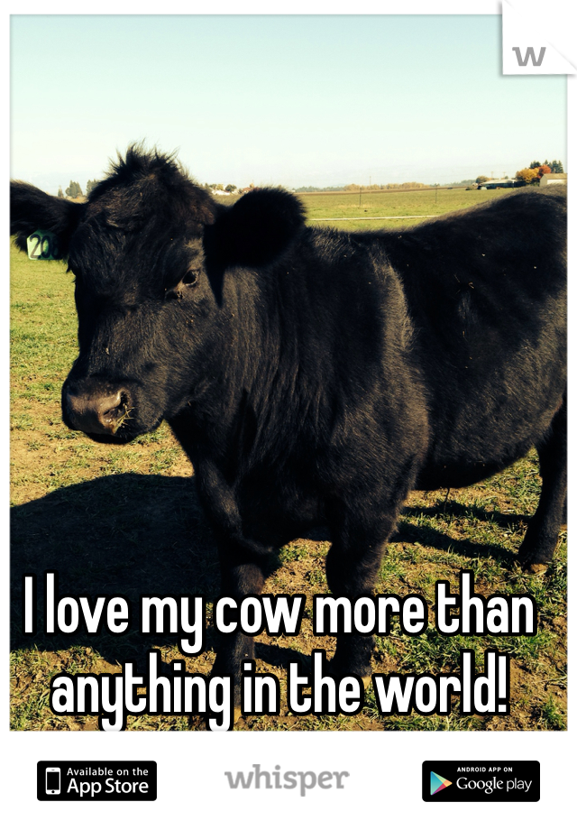 I love my cow more than anything in the world! 