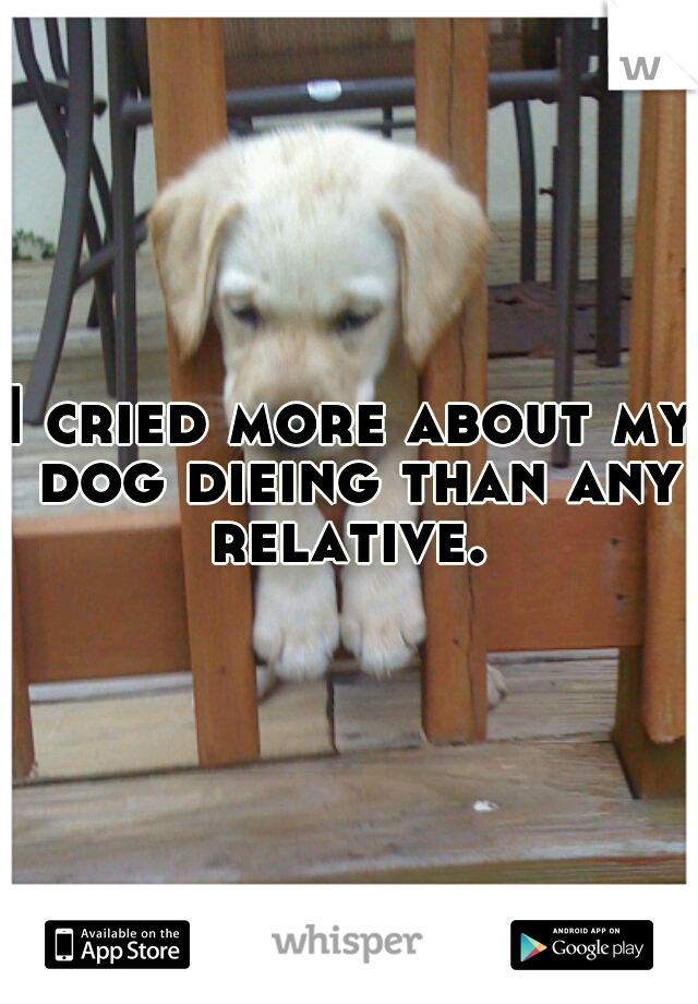 I cried more about my dog dieing than any relative. 