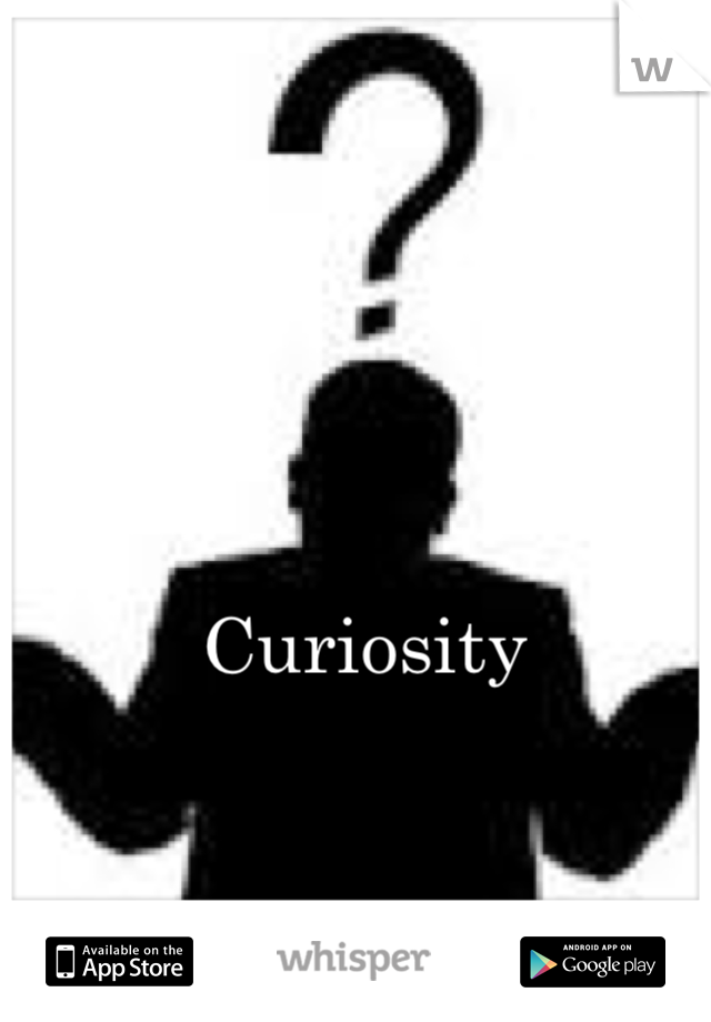 Curiosity 