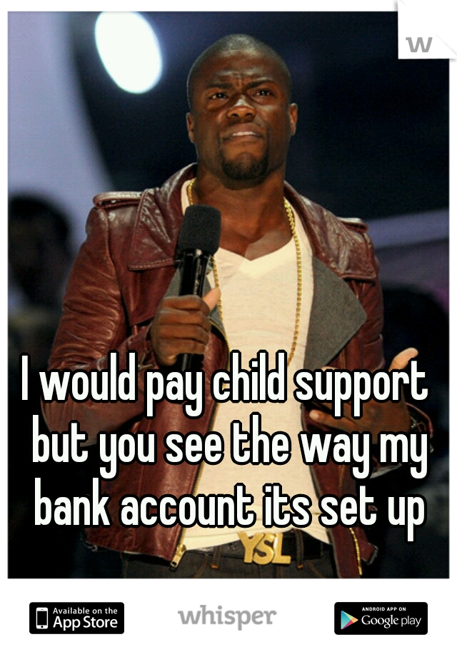 I would pay child support
 but you see the way my bank account its set up