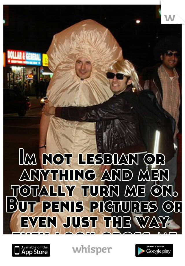 Im not lesbian or anything and men totally turn me on. But penis pictures or even just the way they look gross me out. 