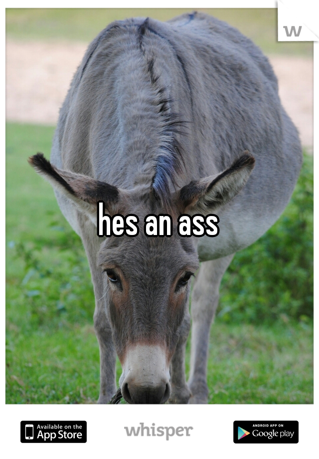 hes an ass