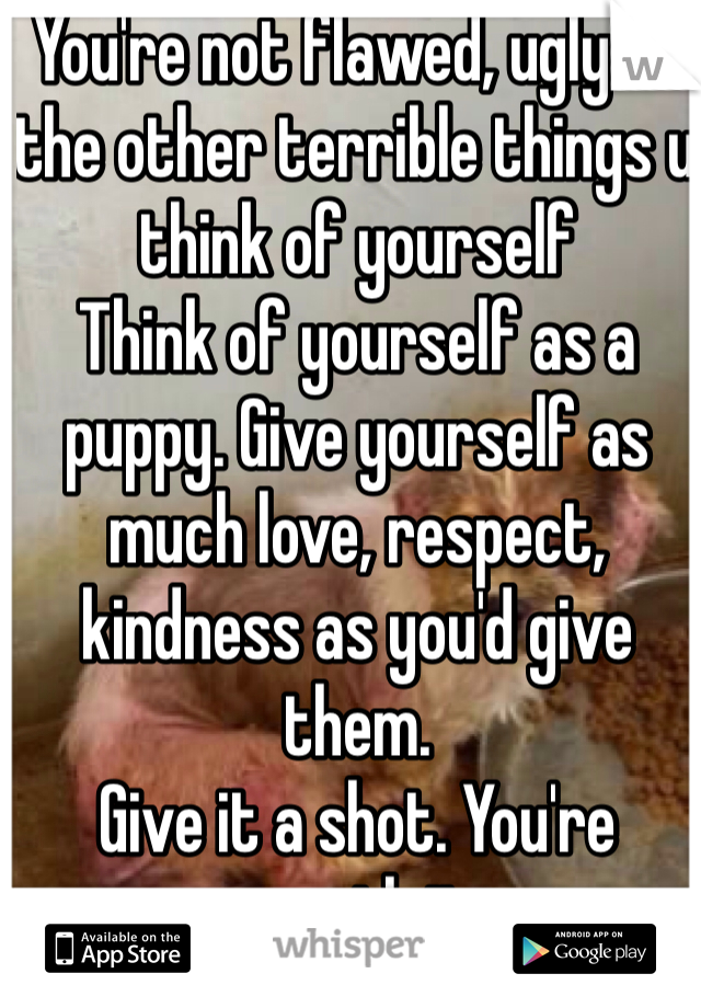 You're not flawed, ugly or the other terrible things u think of yourself
Think of yourself as a puppy. Give yourself as much love, respect, kindness as you'd give them. 
Give it a shot. You're worth it