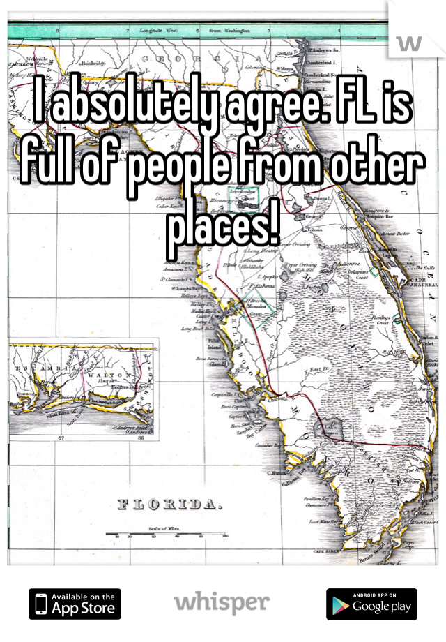 I absolutely agree. FL is full of people from other places!