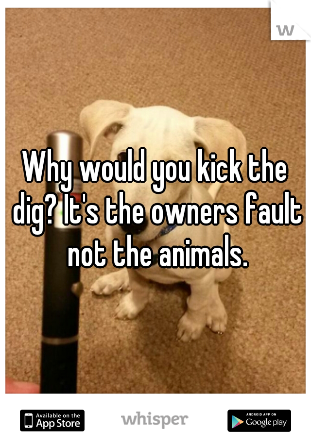 Why would you kick the dig? It's the owners fault not the animals.