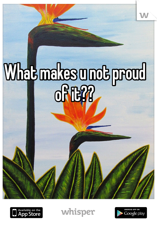 What makes u not proud of it??