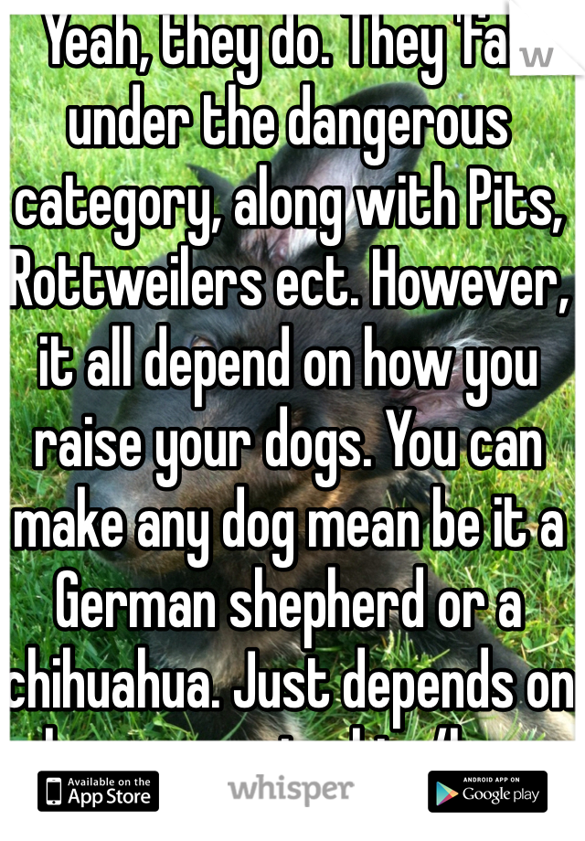 Yeah, they do. They 'fall' under the dangerous category, along with Pits, Rottweilers ect. However, it all depend on how you raise your dogs. You can make any dog mean be it a German shepherd or a chihuahua. Just depends on how you raise him/her.