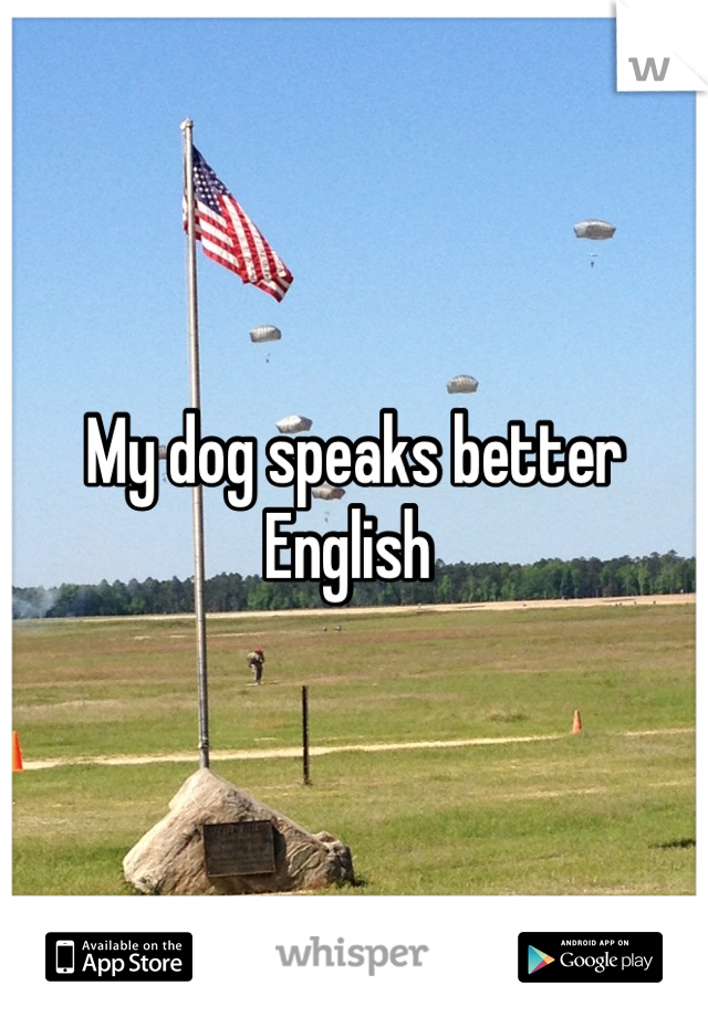 My dog speaks better English 