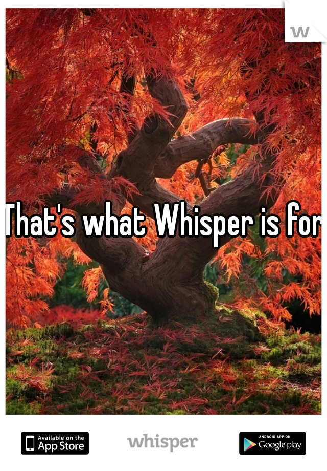 That's what Whisper is for.