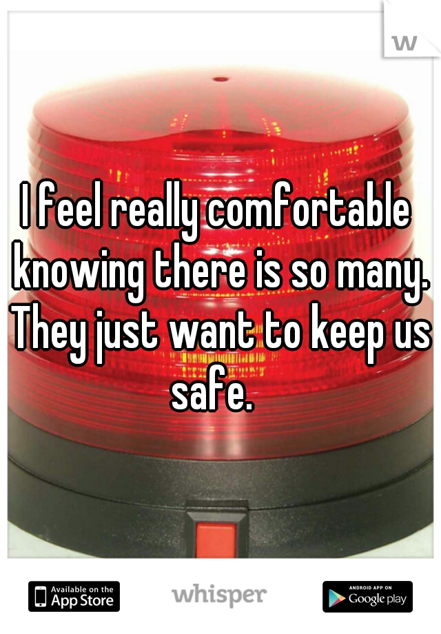 I feel really comfortable knowing there is so many. They just want to keep us safe.  