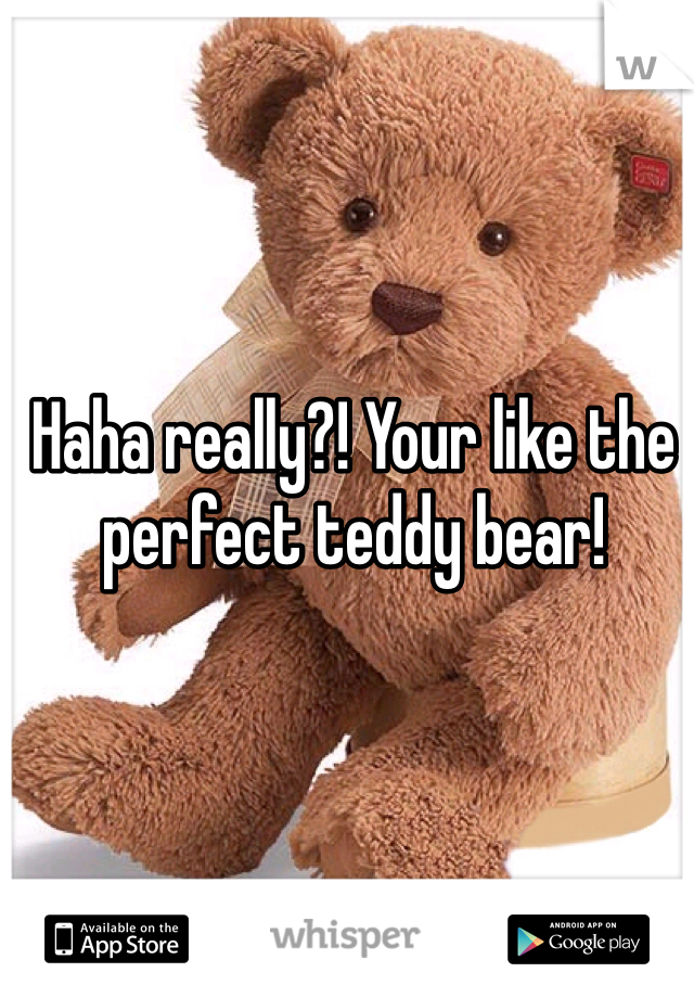 Haha really?! Your like the perfect teddy bear!