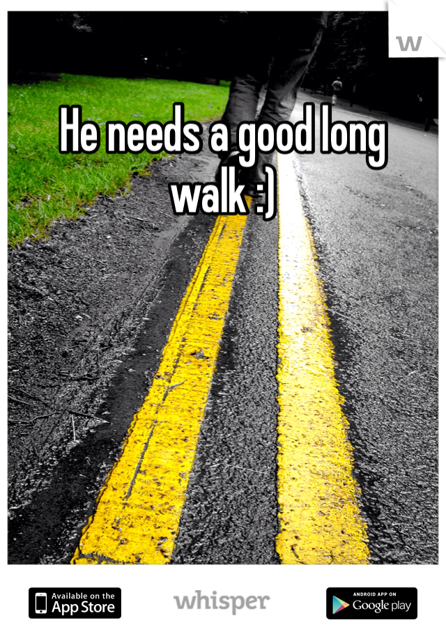 He needs a good long walk :)