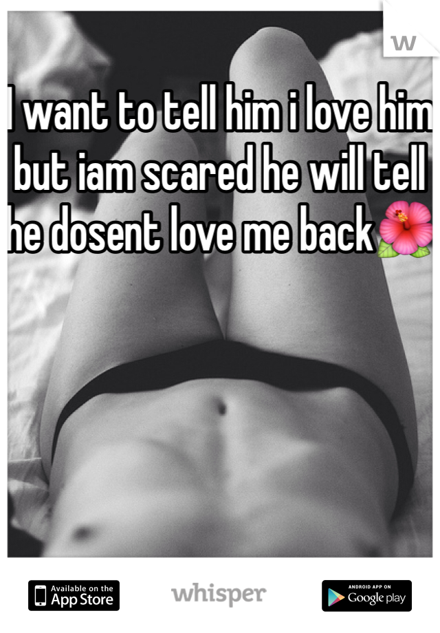 I want to tell him i love him but iam scared he will tell he dosent love me back🌺