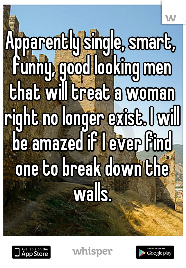 Apparently single, smart, funny, good looking men that will treat a woman right no longer exist. I will be amazed if I ever find one to break down the walls.