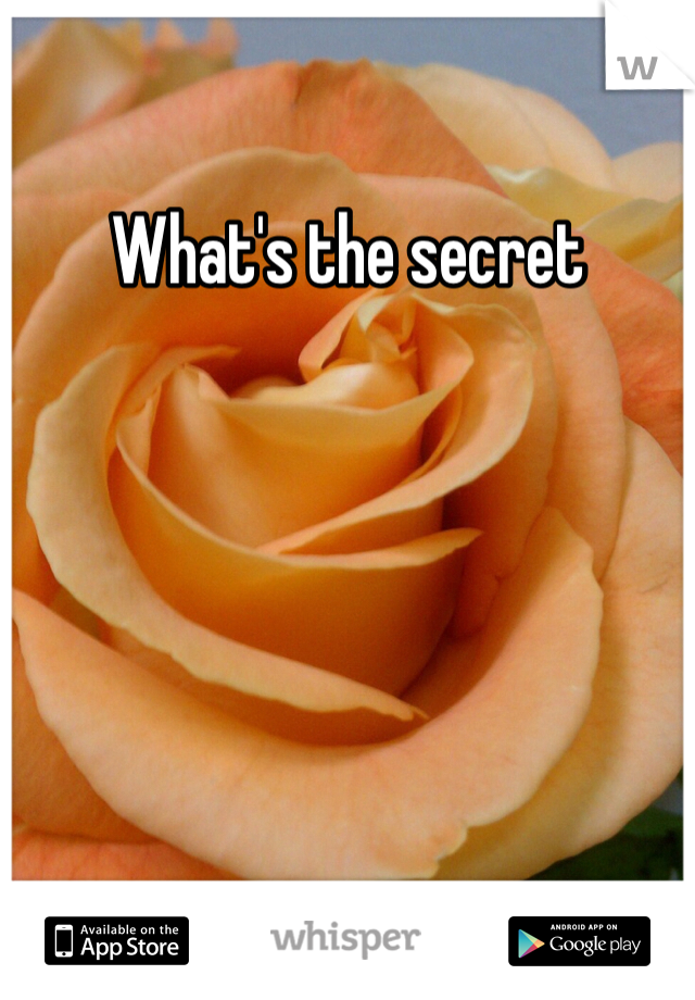 what-s-the-secret