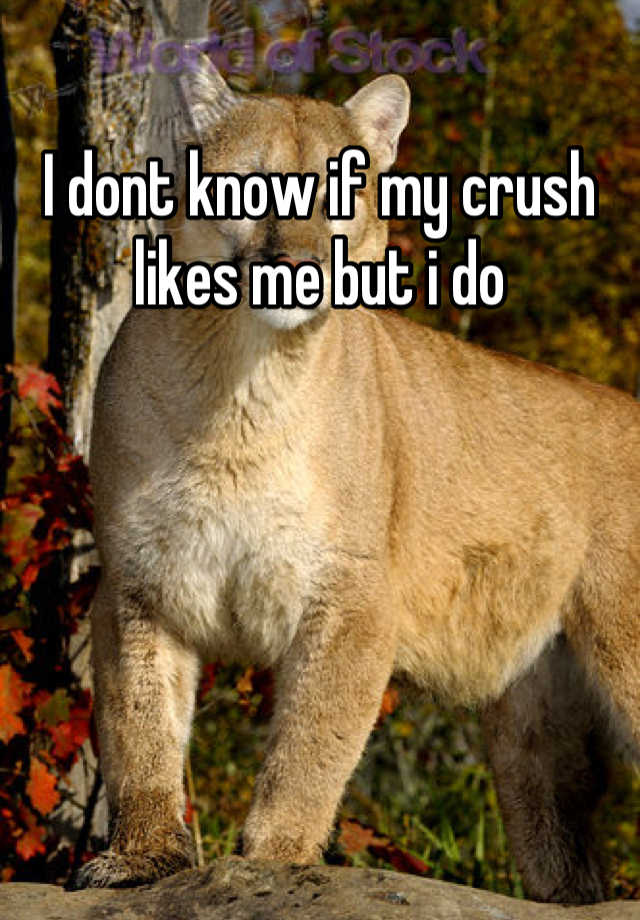 i-dont-know-if-my-crush-likes-me-but-i-do