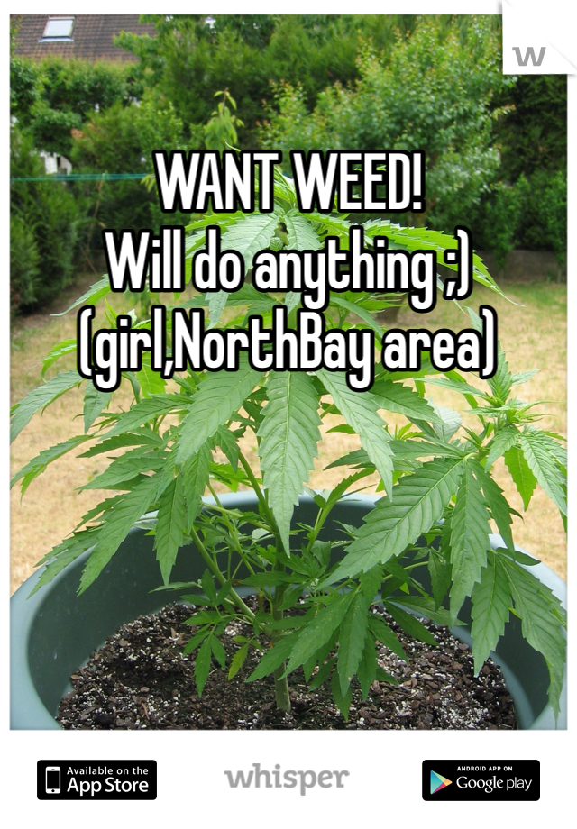WANT WEED!
Will do anything ;) 
(girl,NorthBay area)