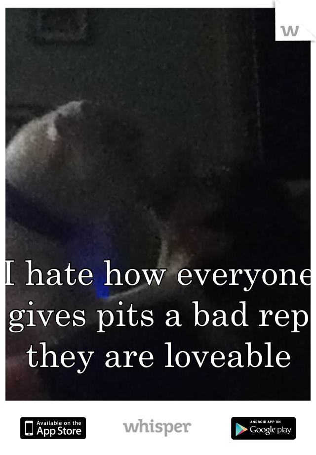 I hate how everyone gives pits a bad rep they are loveable